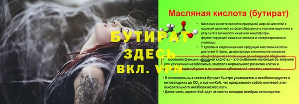 сатива Куйбышев