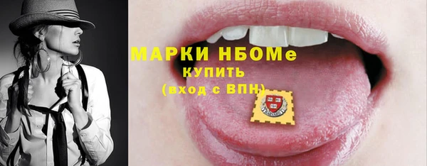 гашик Алексин