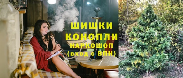 гашик Алексин