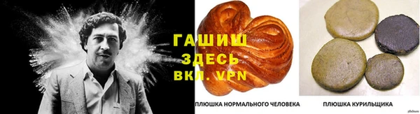 гашик Алексин