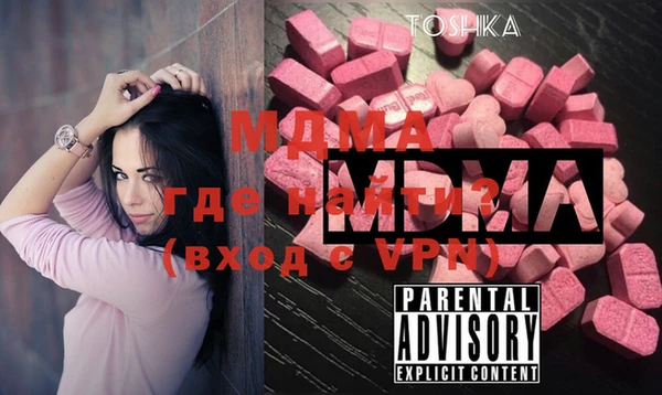 гашик Алексин