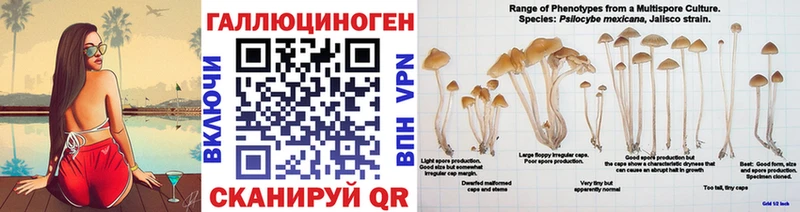 Псилоцибиновые грибы Magic Shrooms  Тайшет 