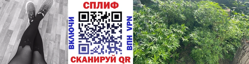 Каннабис AK-47  Тайшет 